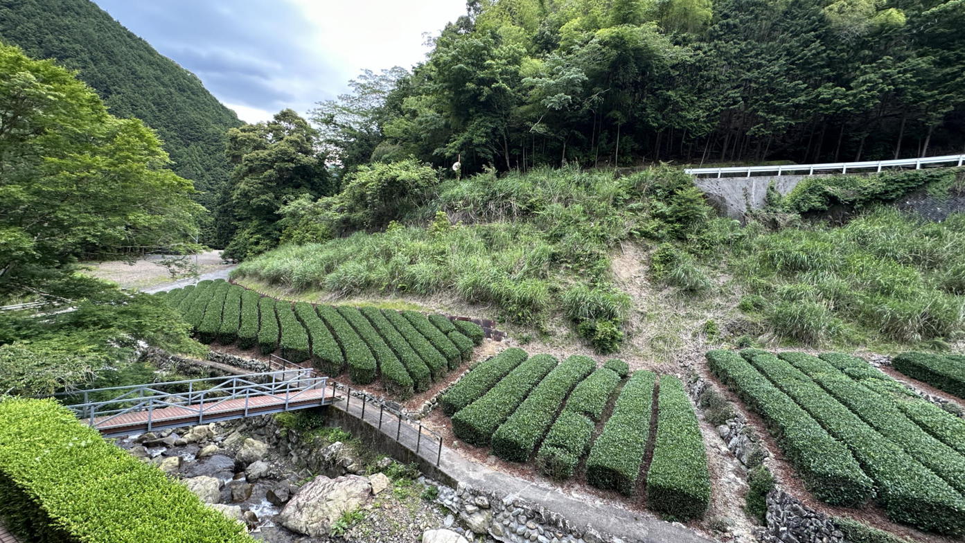 【窓からの景色】ただありのままに、自然を感じながら、日常から離れた癒しのひとときをご満喫ください。