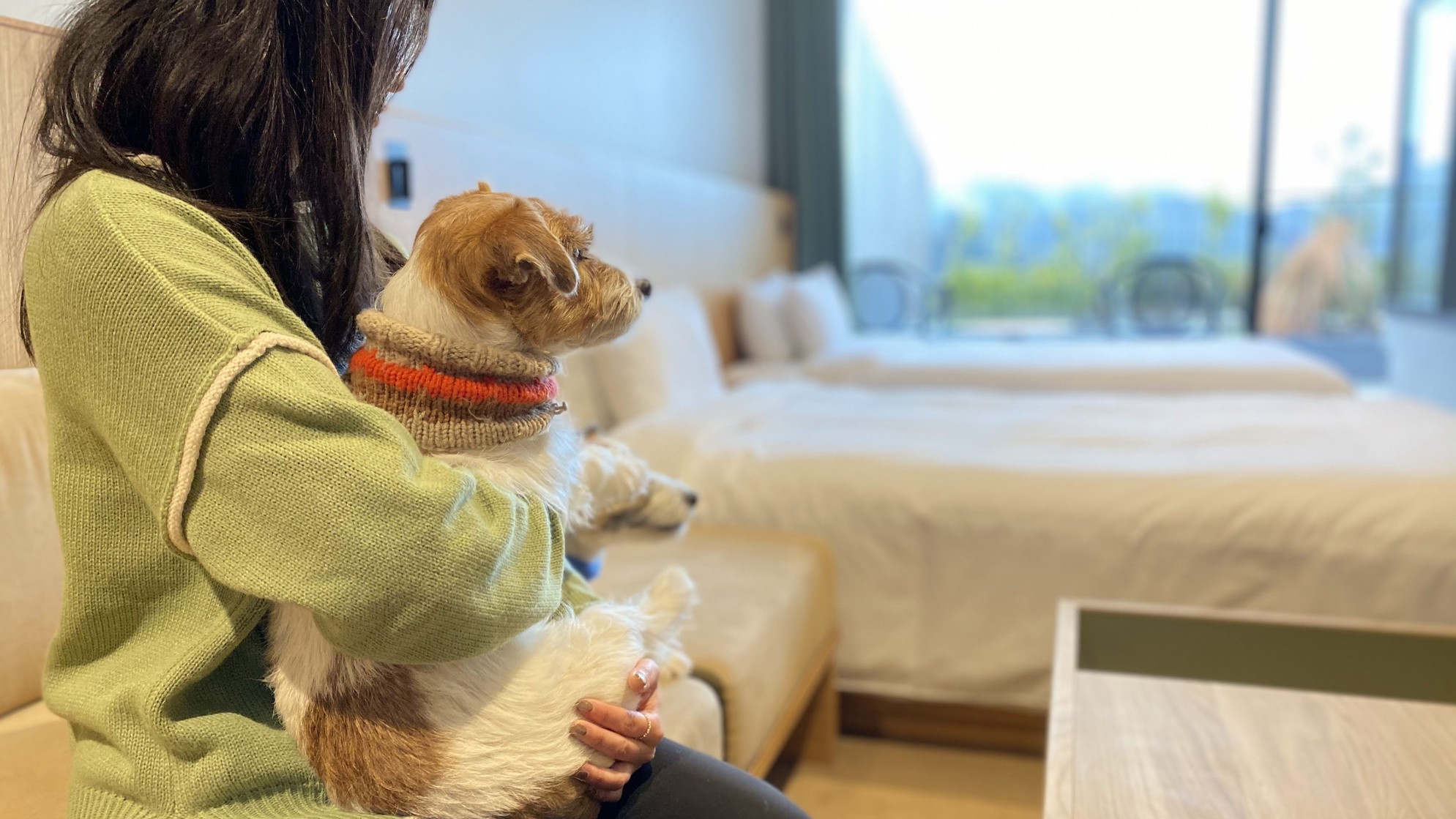 ドッグテラスルーム