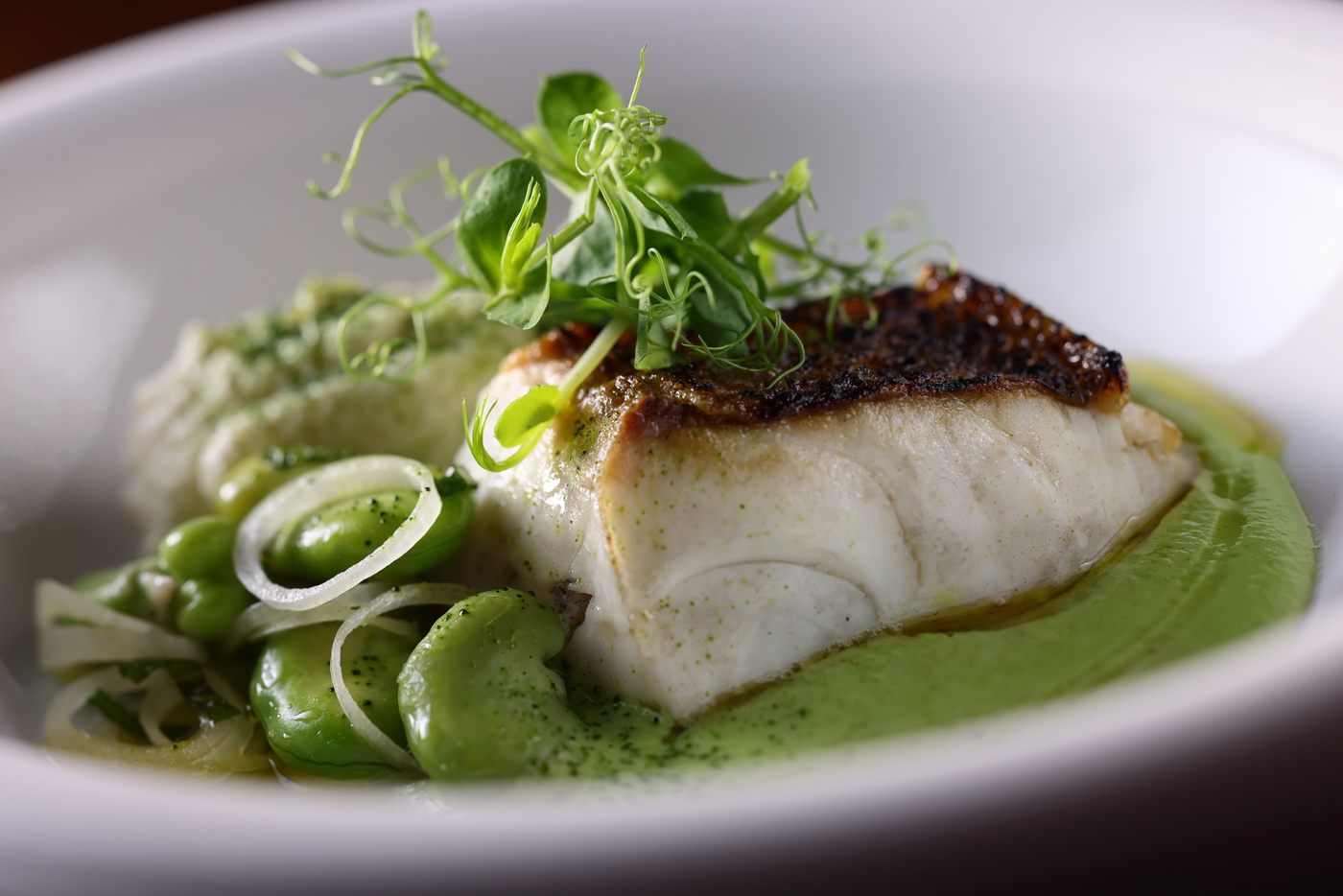 イタリア料理「FORNI」