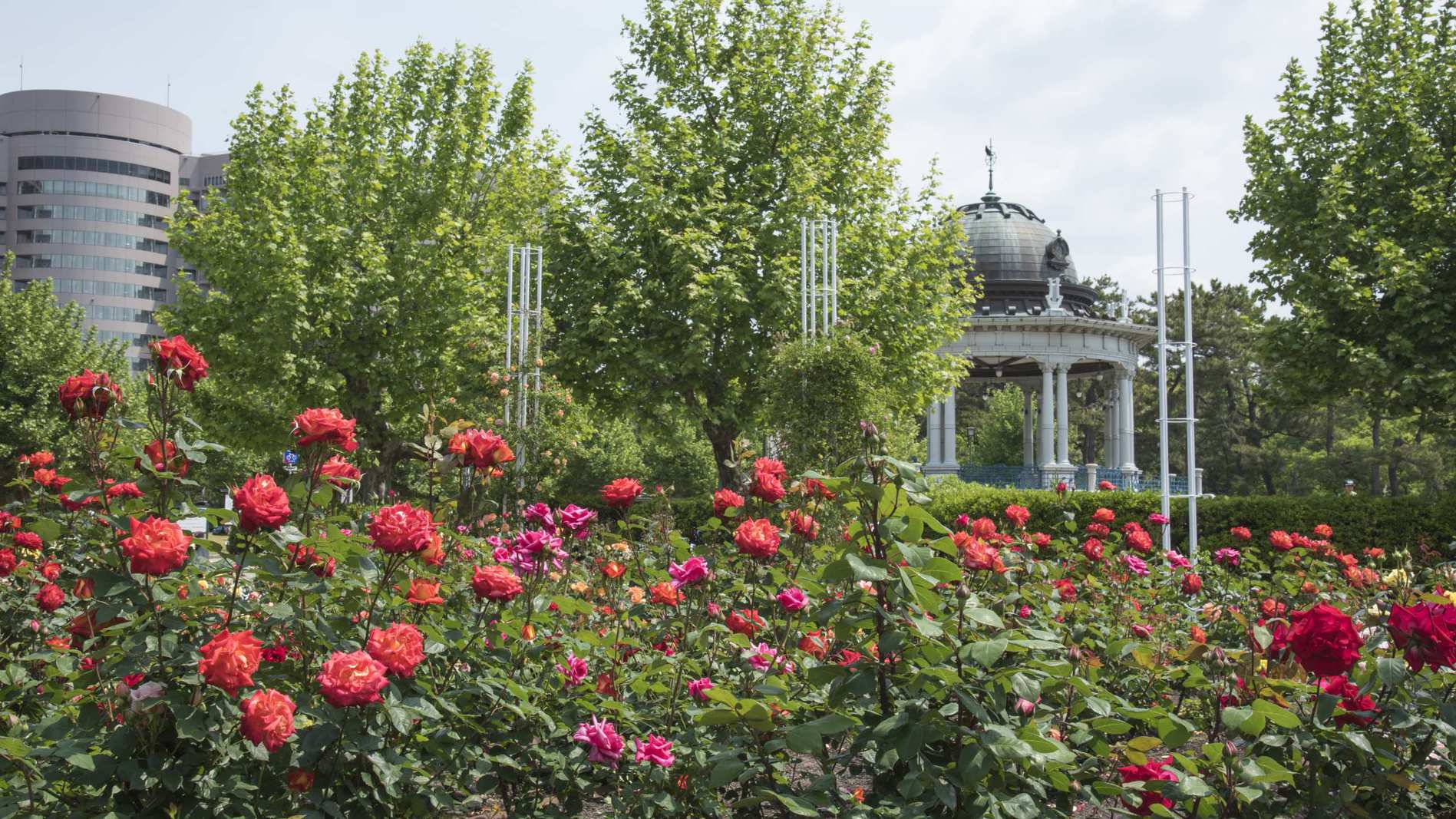 鶴舞公園