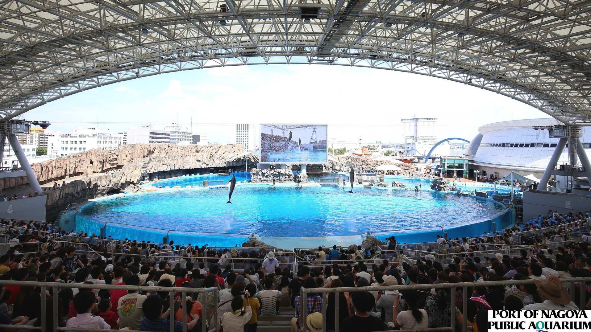 名古屋港水族館