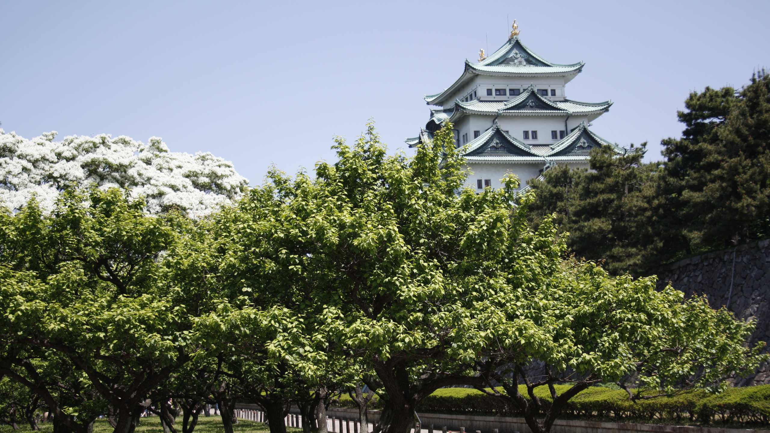 名古屋城（夏）