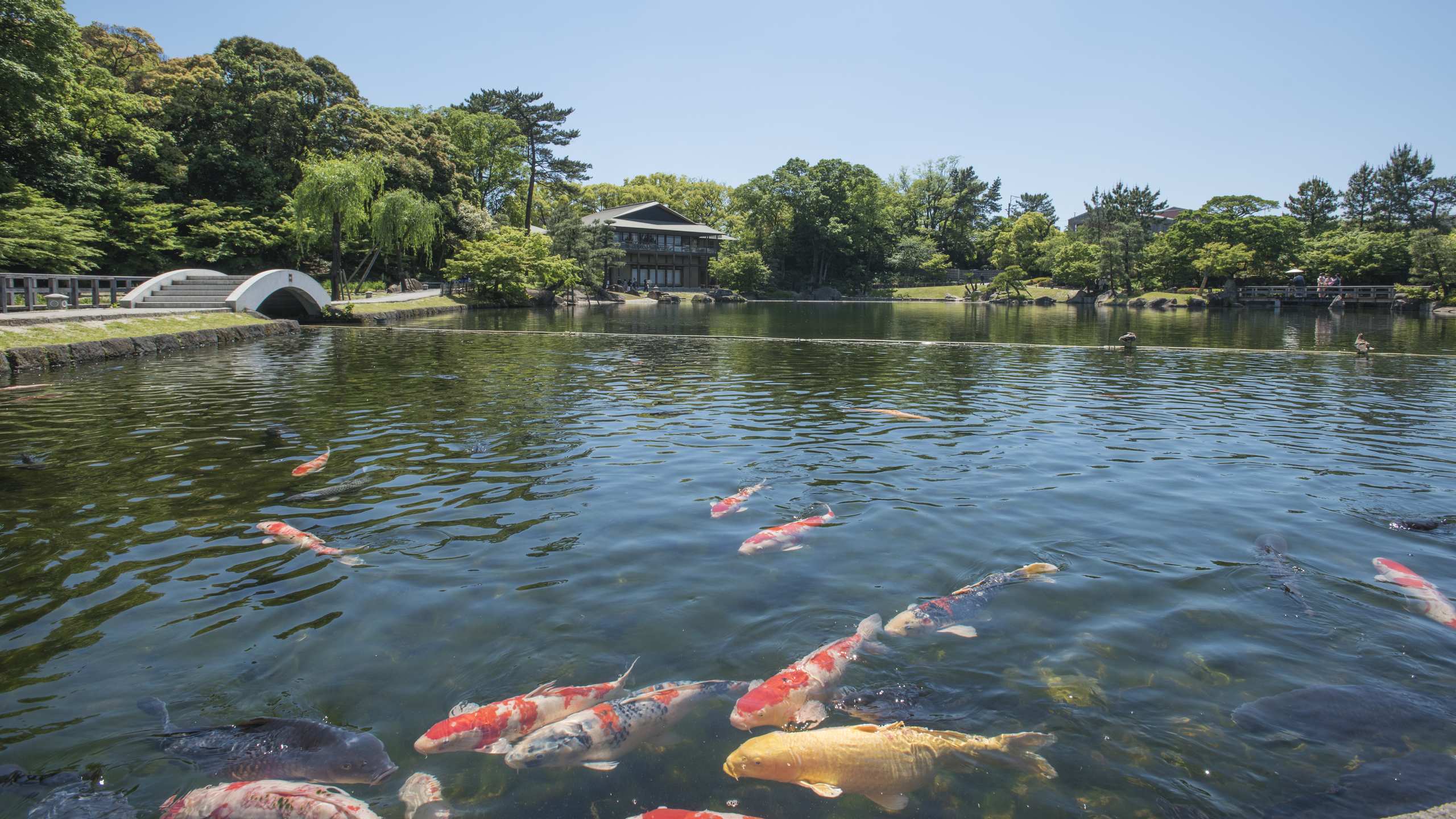 徳川園龍仙湖