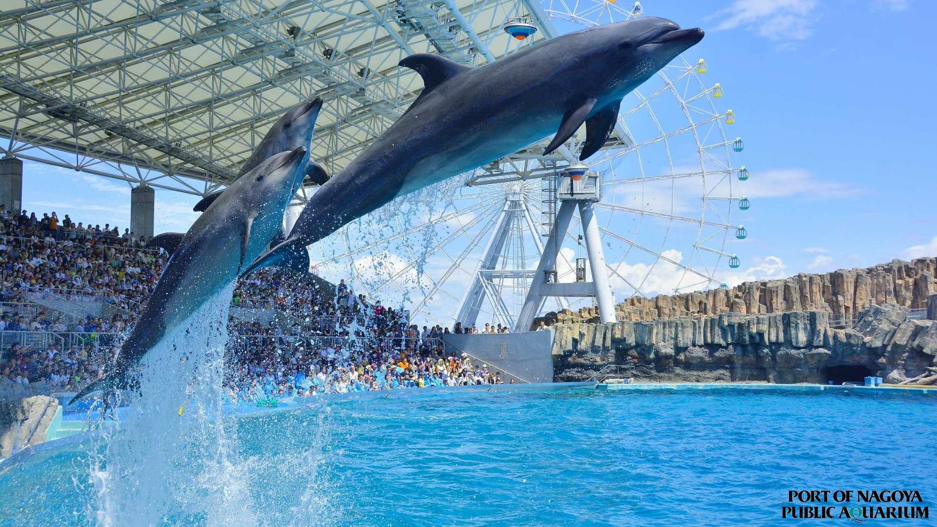 名古屋港水族館