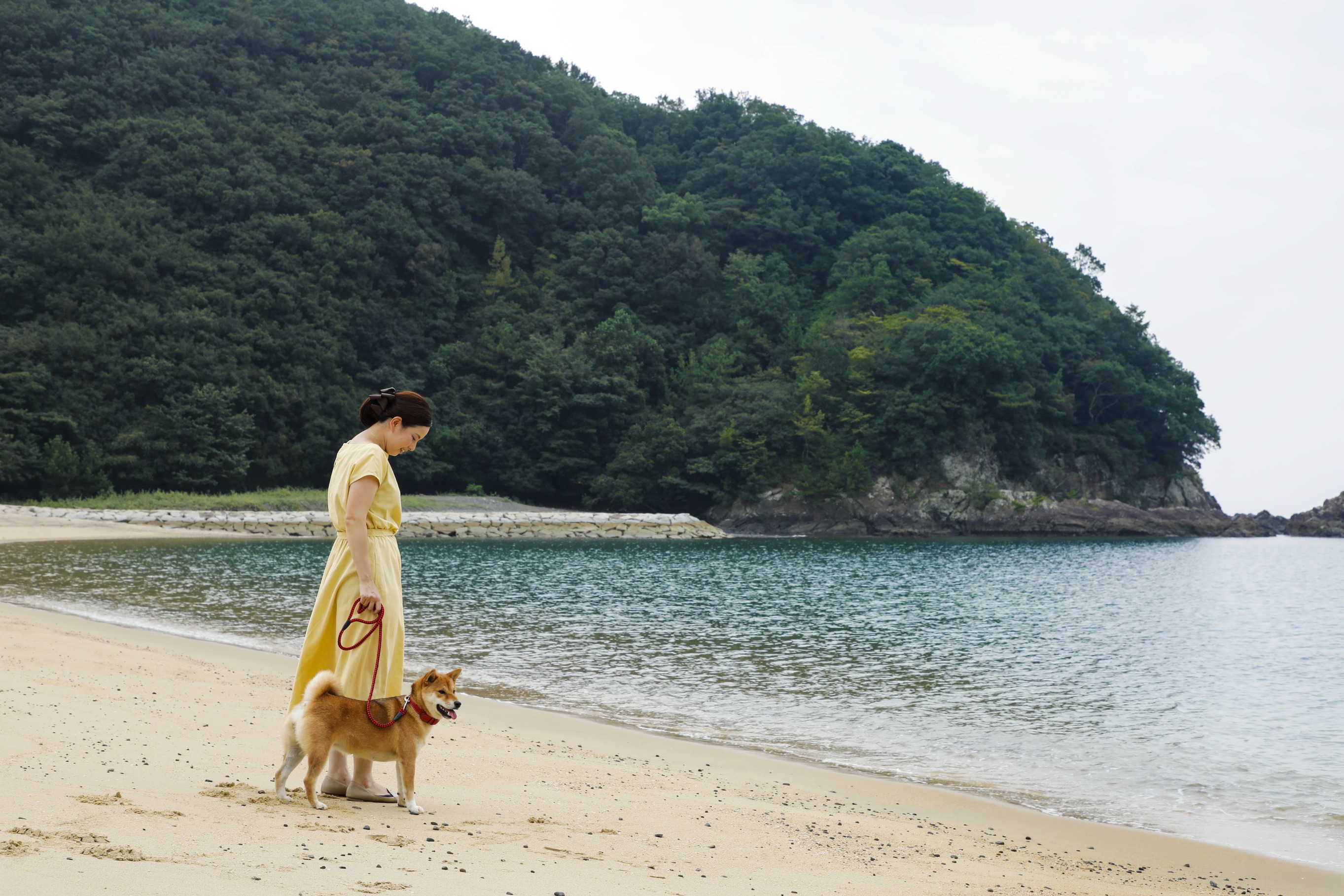 愛犬と浜辺の散歩