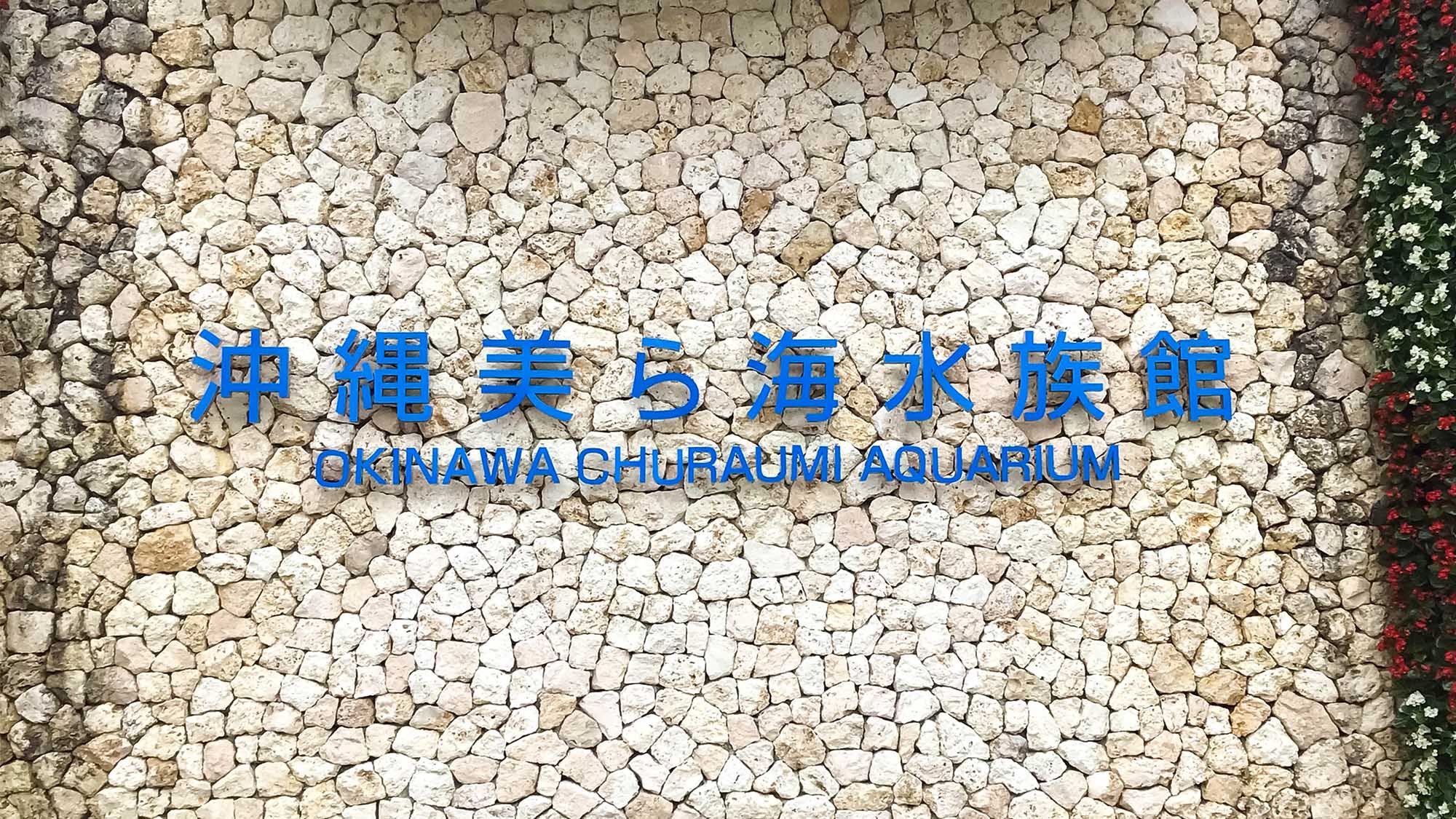 ・周辺情報美ら海水族館まで徒歩で約7分