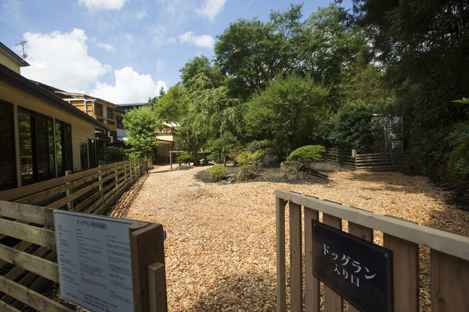 鬼怒川 ペット 安い 宿