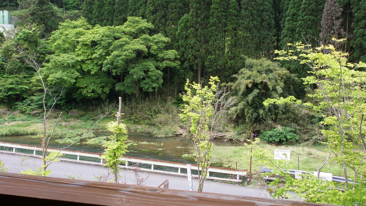 ２階客室からの景色