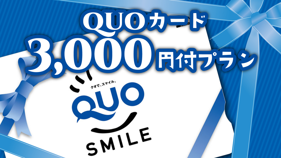 【ビジネス】QUO カード3，000円付プラン【素泊まり】