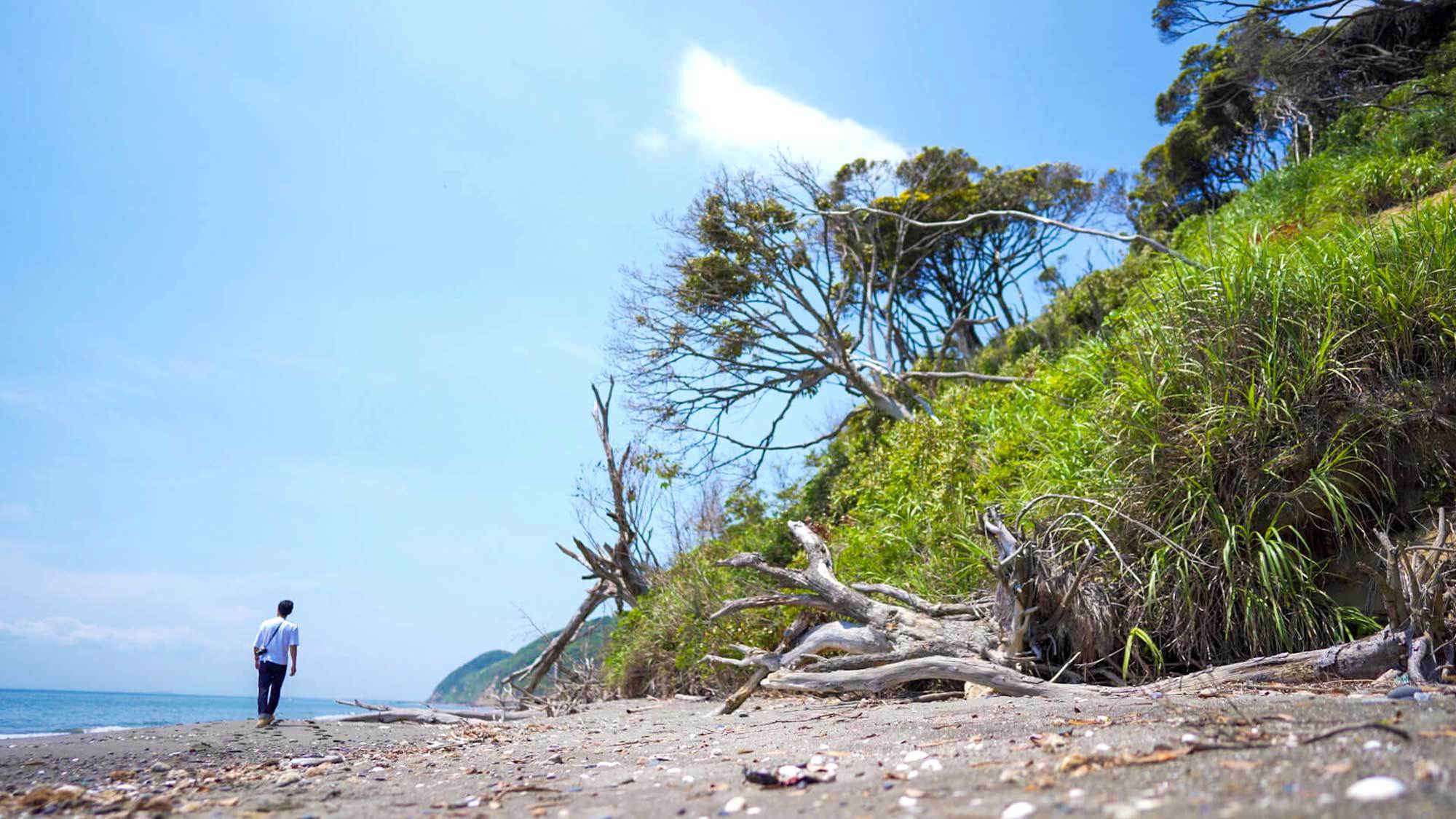 【周辺】新舞子海岸までの数キロ、秘境ビーチで様々な貝殻や流木を拾うことができます