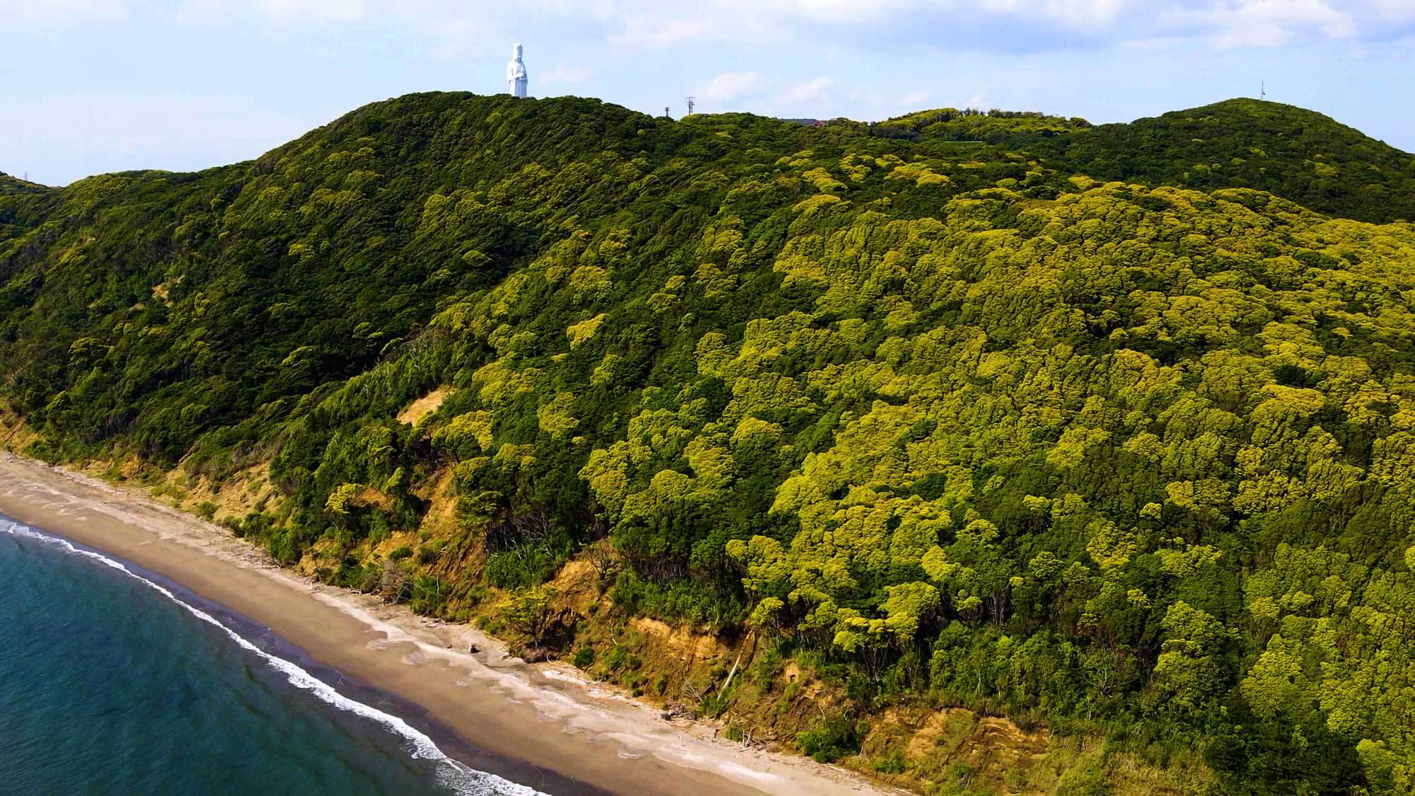 【周辺】別荘から富津岬にかけて、手つかずの海岸が数キロにわたって広がり無人島気分を味わえます