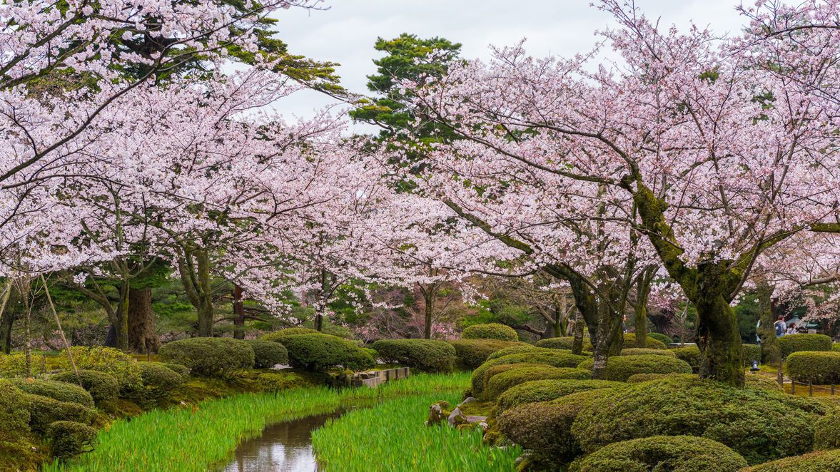 兼六園