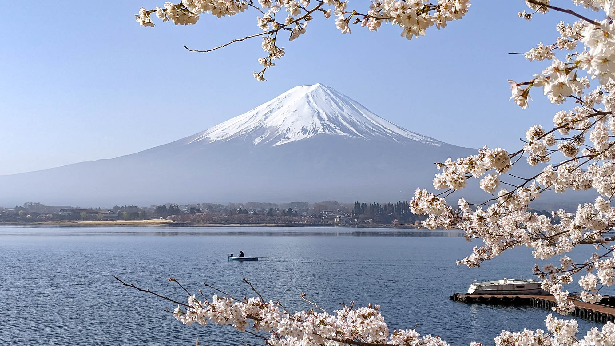 ・富士山と河口湖（春）：湖畔でお花見もお楽しみいただけます