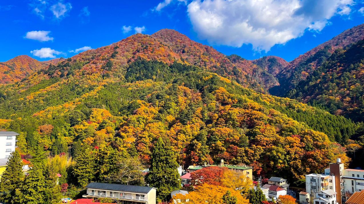 紅葉シーズンの客室からの眺め※一例