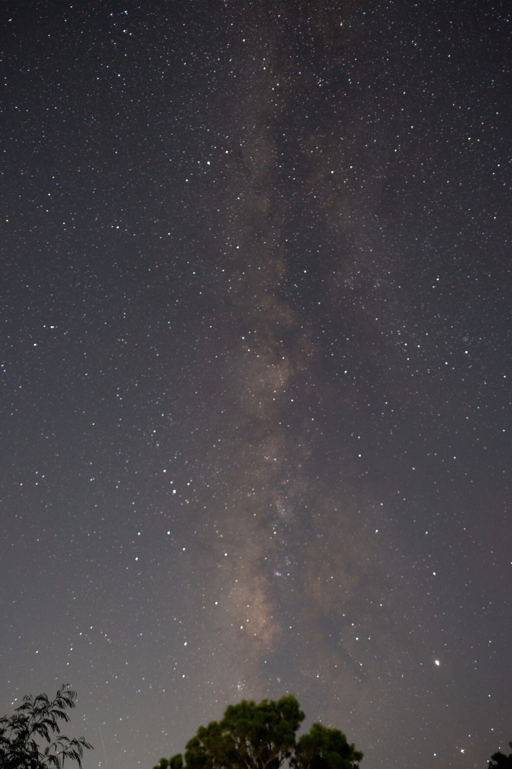 瀬底島からの星空天の川も流れ星もくっきり。