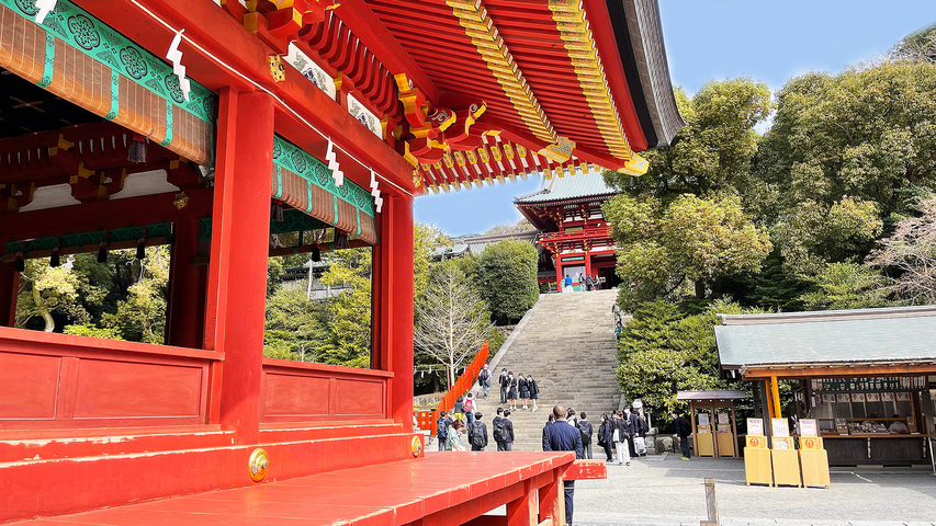 八幡宮の舞殿/徒歩15分