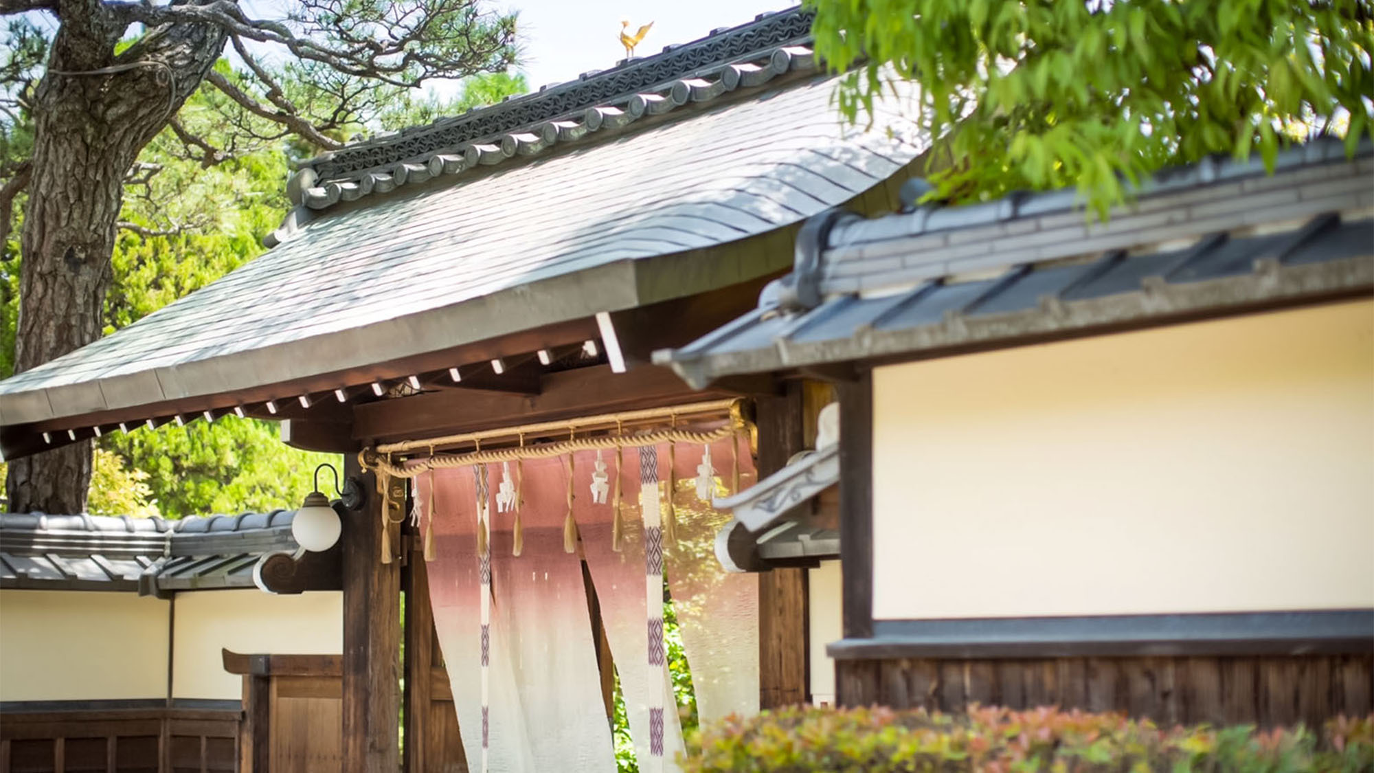 ・【外観】山科家、そして日本の伝統を継承してきた歴史を感じる門構え