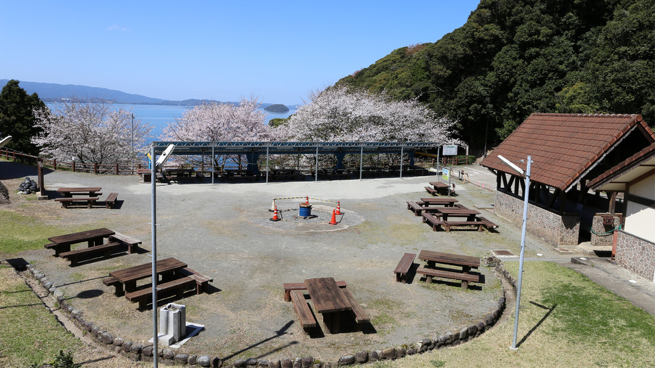 バーベキュー広場：春には満開の桜を眺めながら、バーベキューができます。