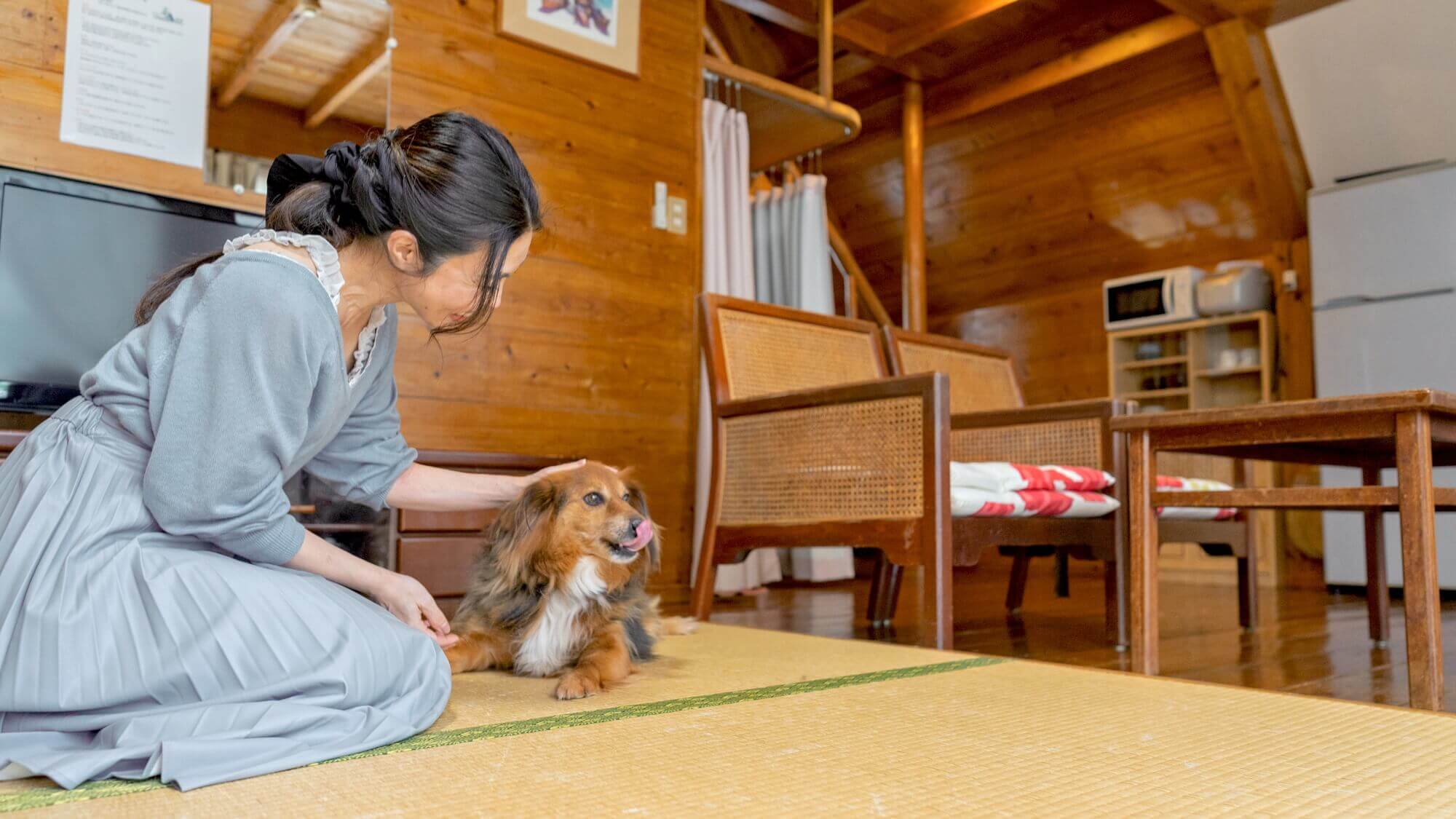 ワンちゃんと一緒にくつろげます