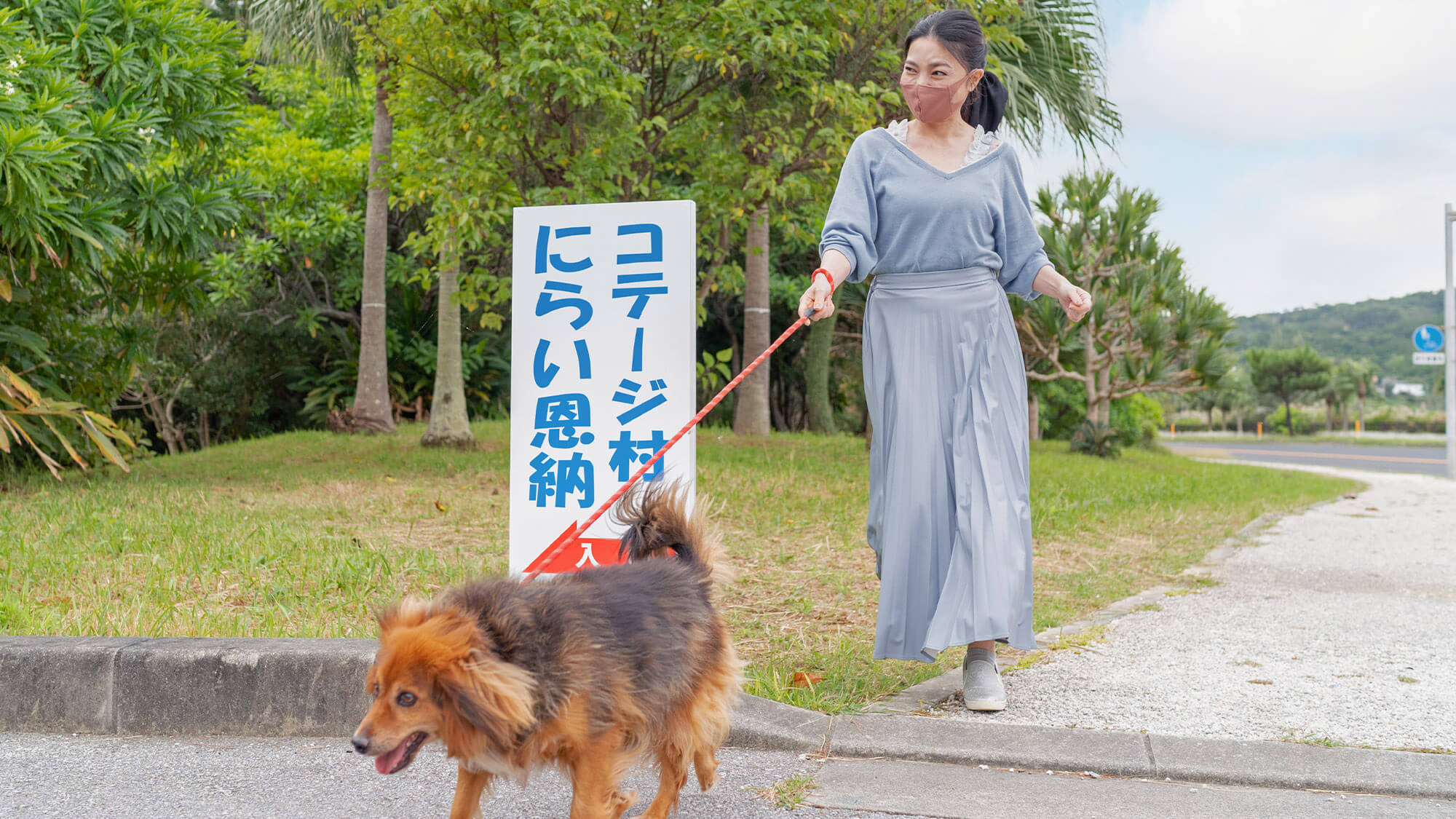 お散歩にも最適