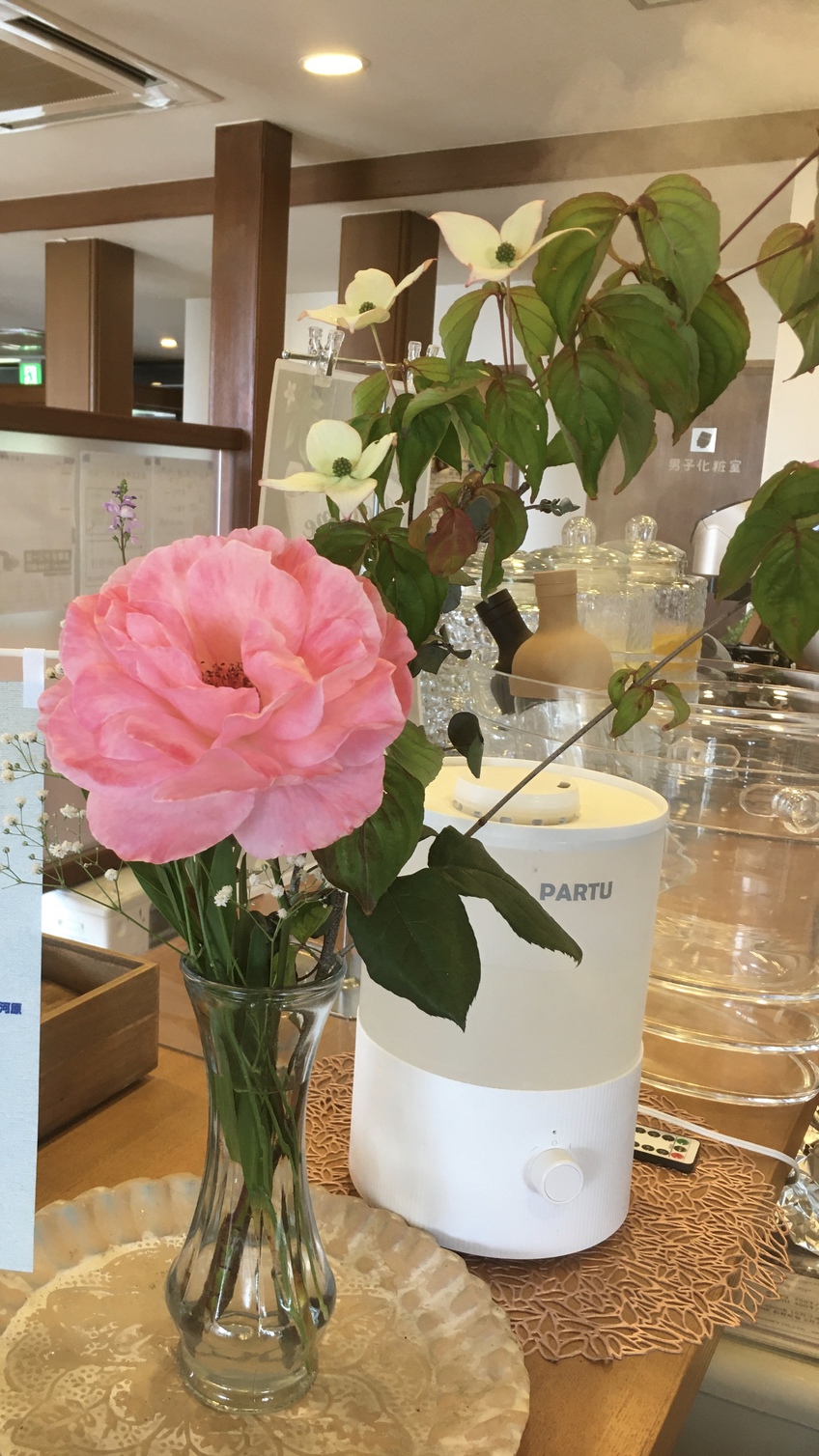 お庭に咲いている薔薇