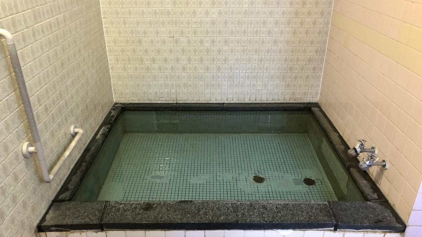 【女湯】藤の森不動温泉（ナトリウム-炭酸水素塩・塩化物冷鉱泉）