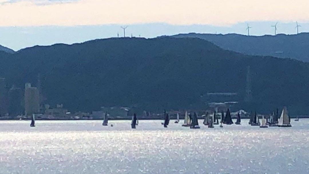 「波の音に癒される和室」からは美しい和歌浦を一望できます。