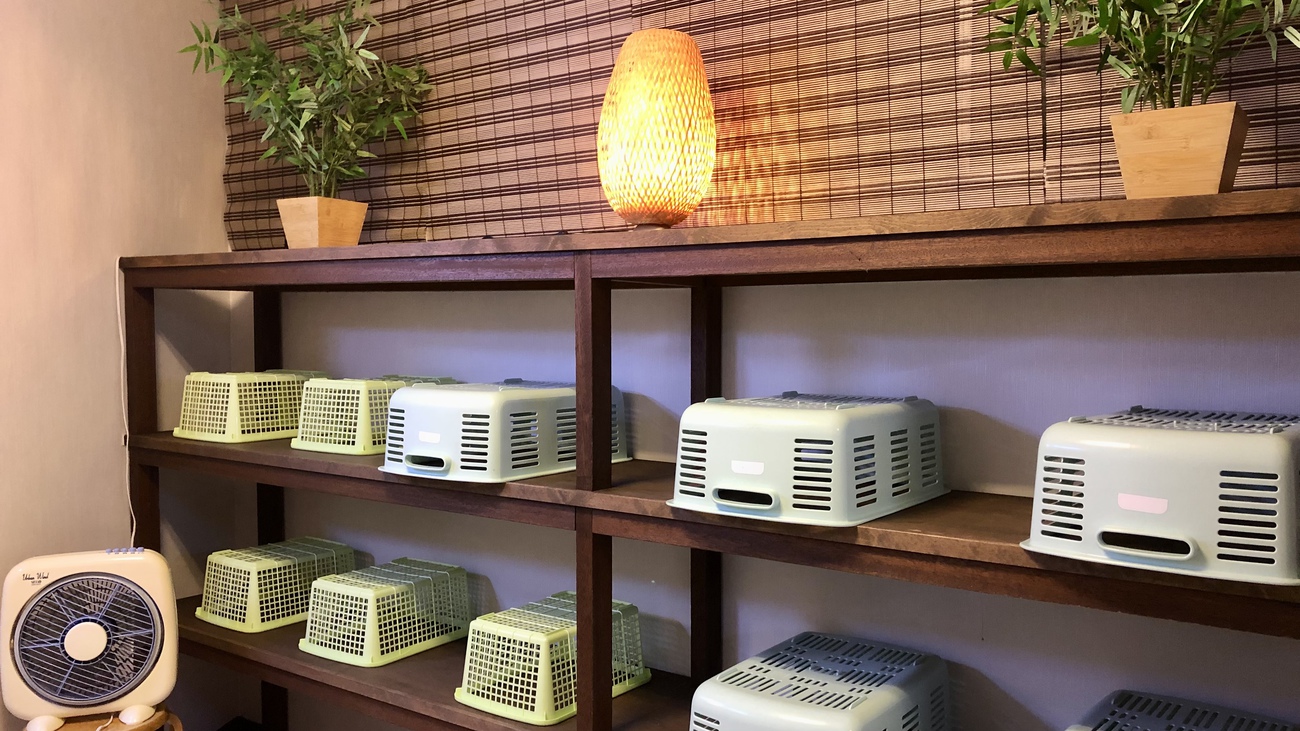 【女湯】脱衣所