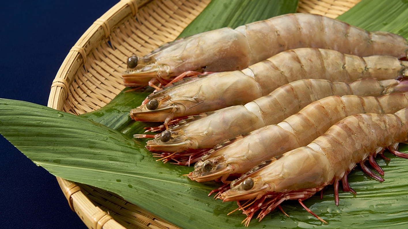 ここ和歌浦・新和歌ロッジでしか食べられない幻の絶品エビを、一度食べに来ませんか？？