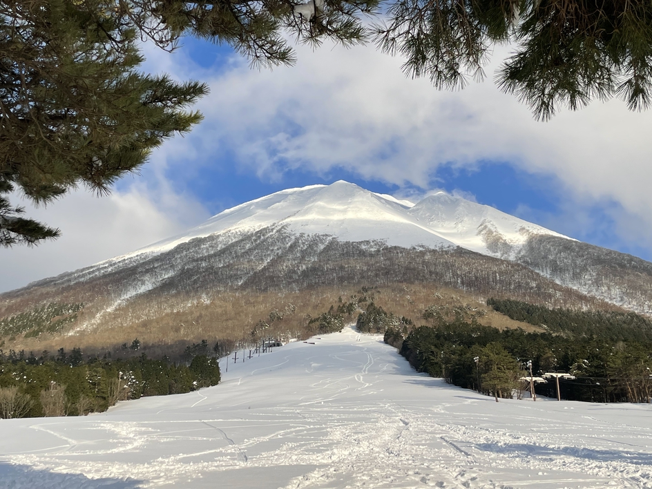 大山スキー場、大山と松