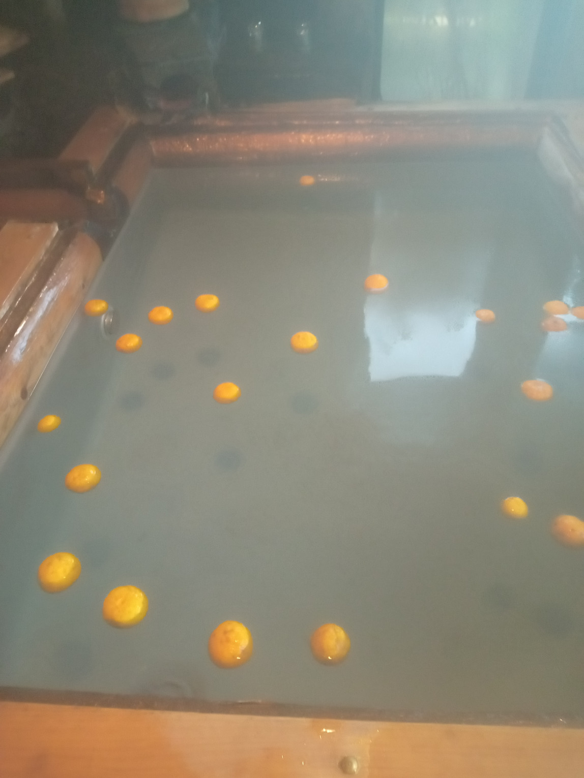 柚子風呂冬季のみ柚子の入手が出来ない時は柚子風呂は無しです。