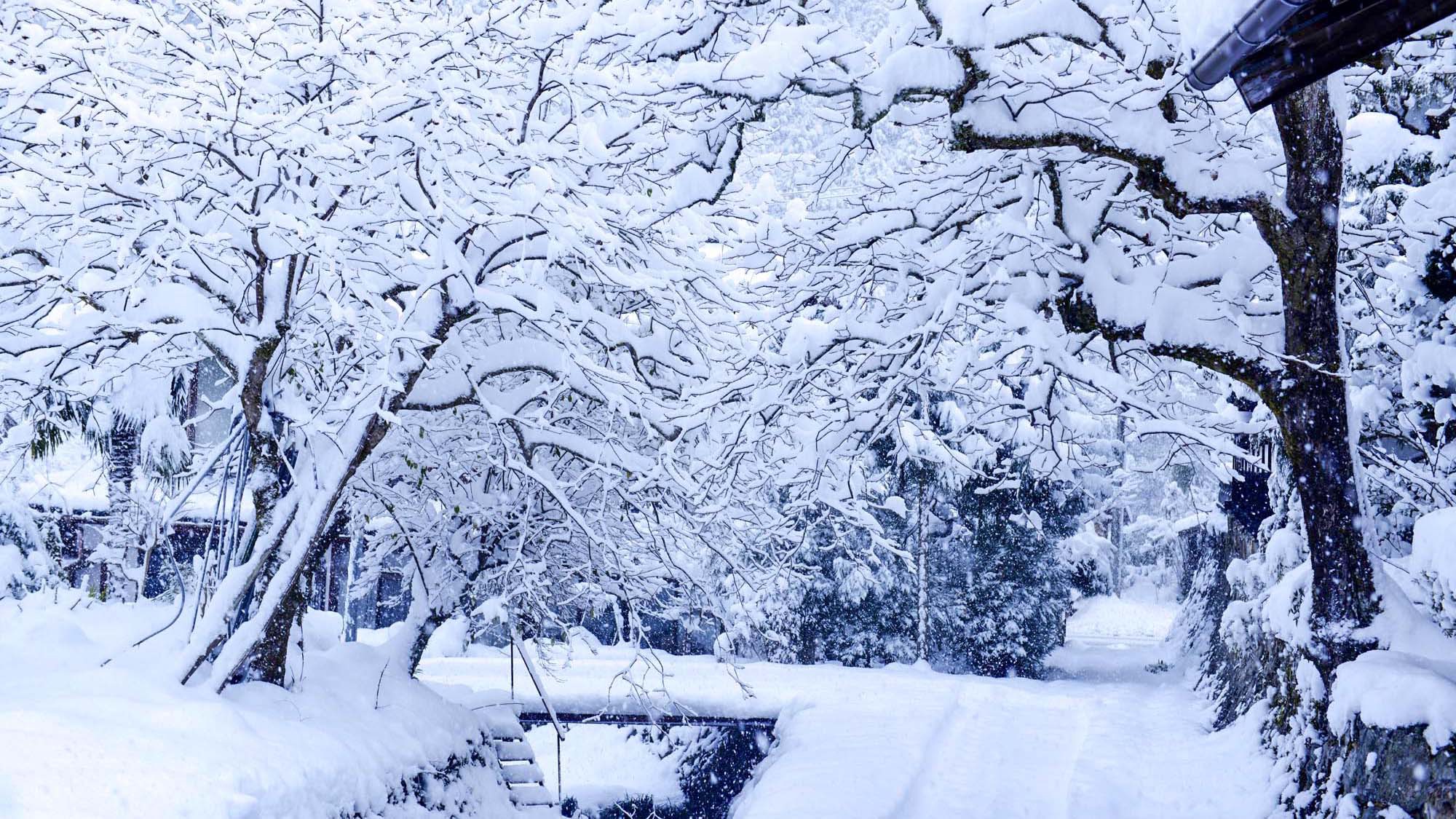 ・雪の日のカーサ美山玄関前の様子