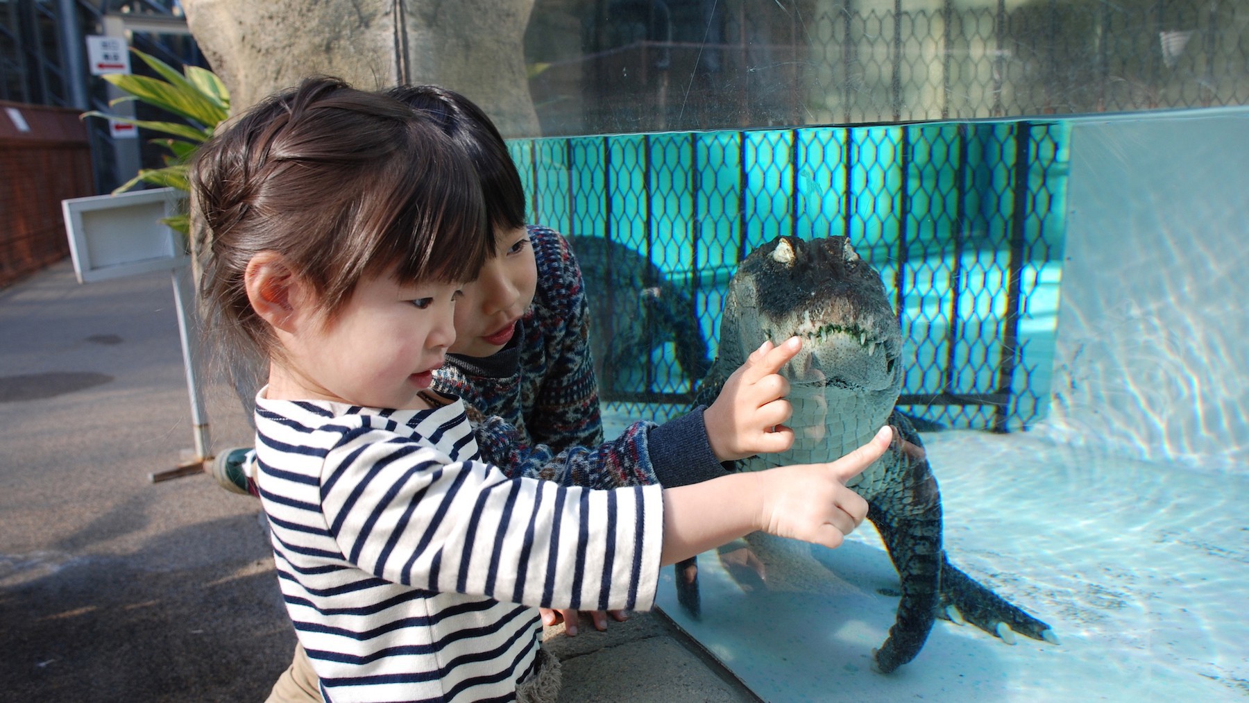 熱川バナナワニ園