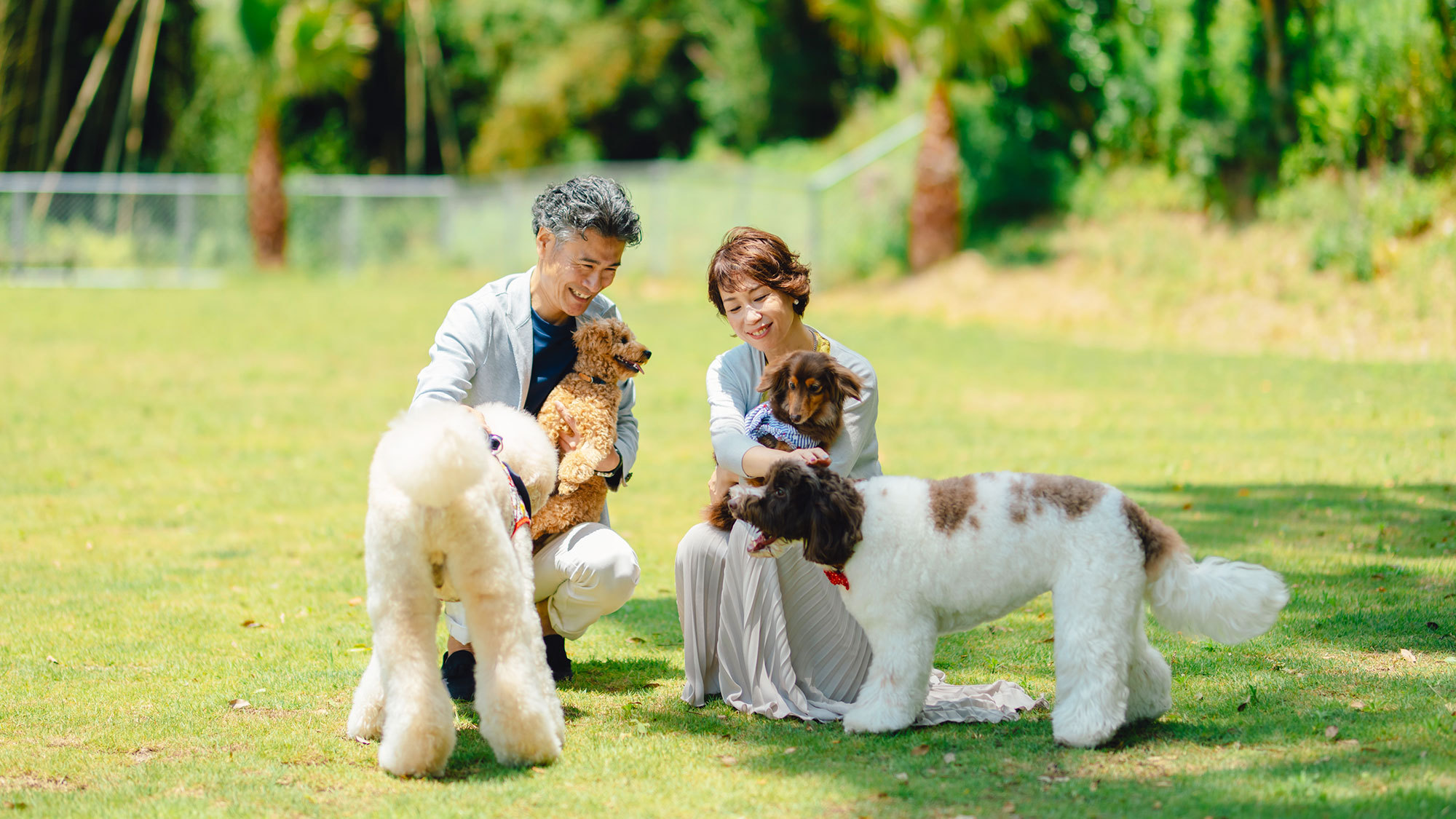 【ドッグラン】リード無しで自由に走り回れます。愛犬と一緒に思いっきり遊んでください♪