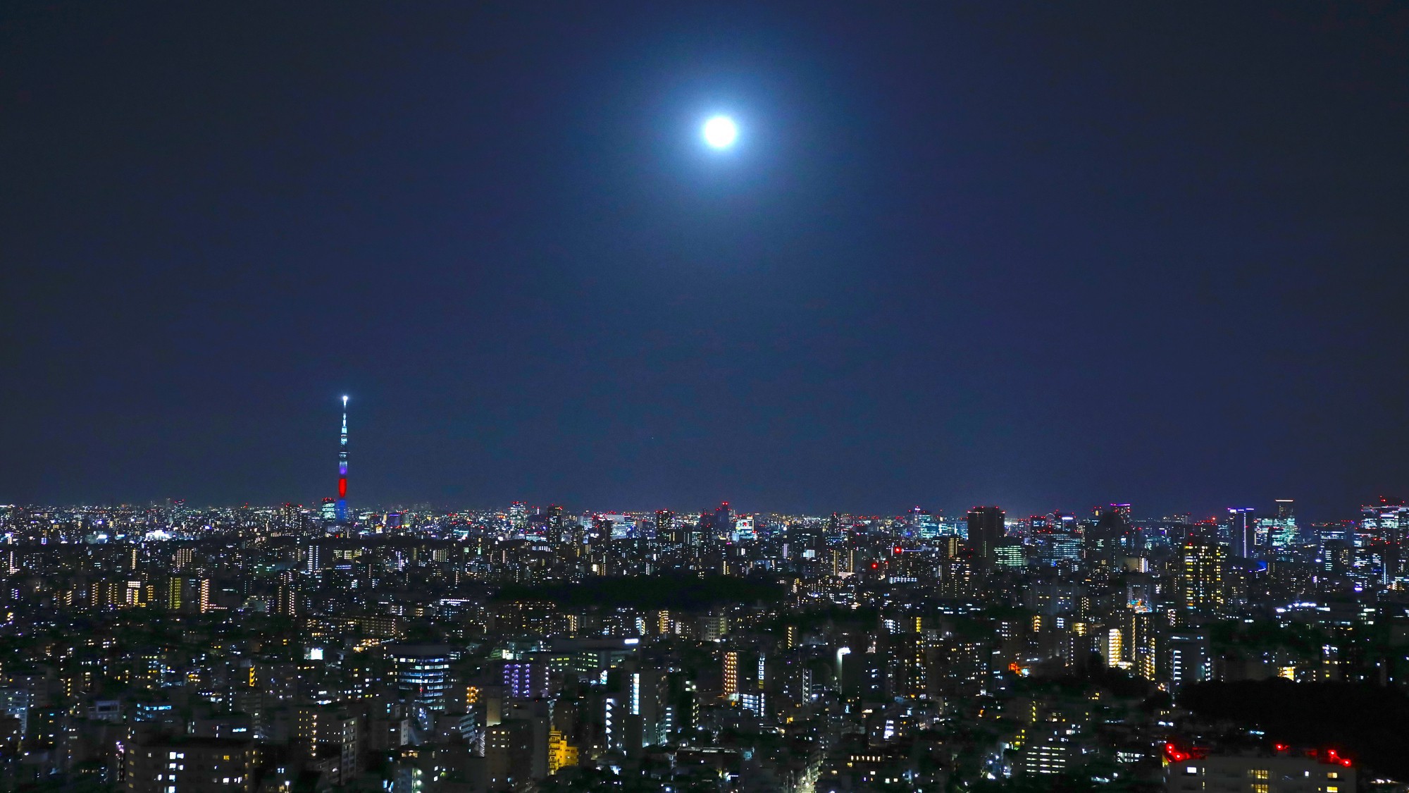 お部屋からの夜景（イメージ）