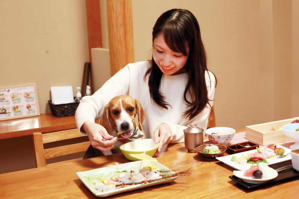 愛犬と食事