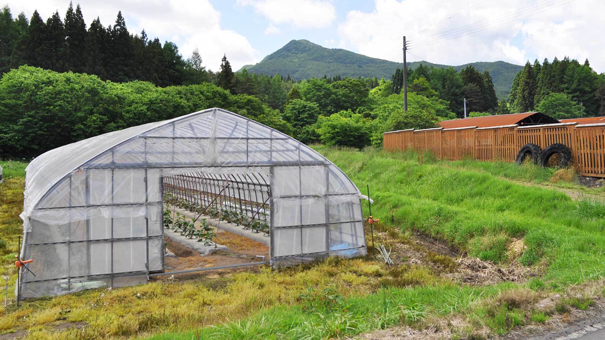 【アグリ農園・久慈平岳】