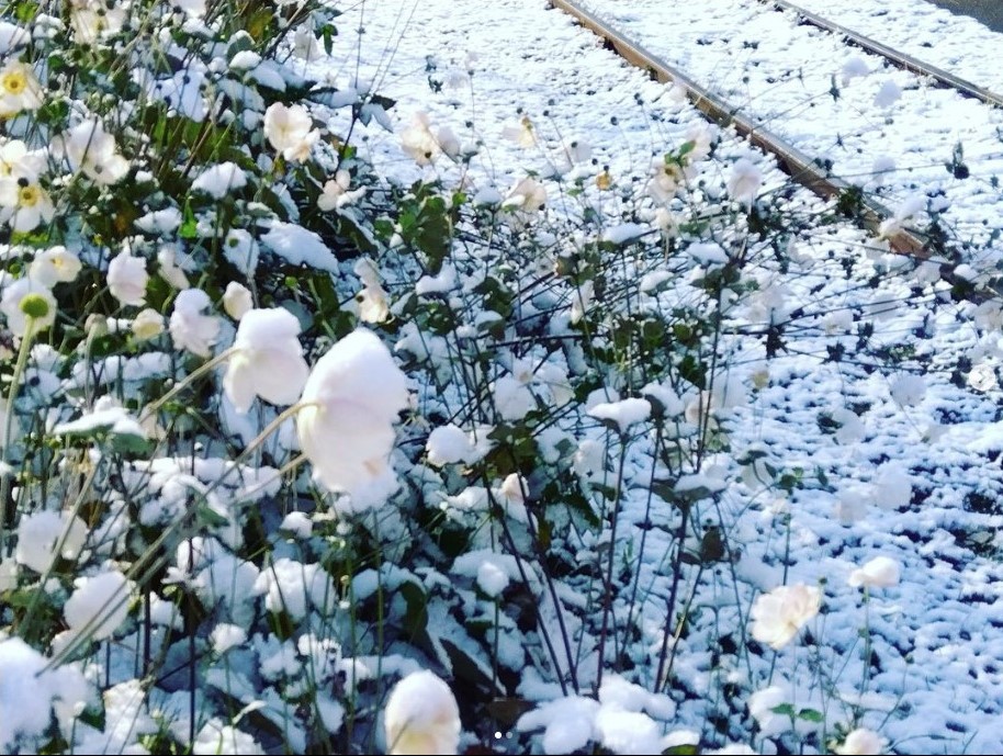 【季節の景観：冬】初雪の旧手宮線跡