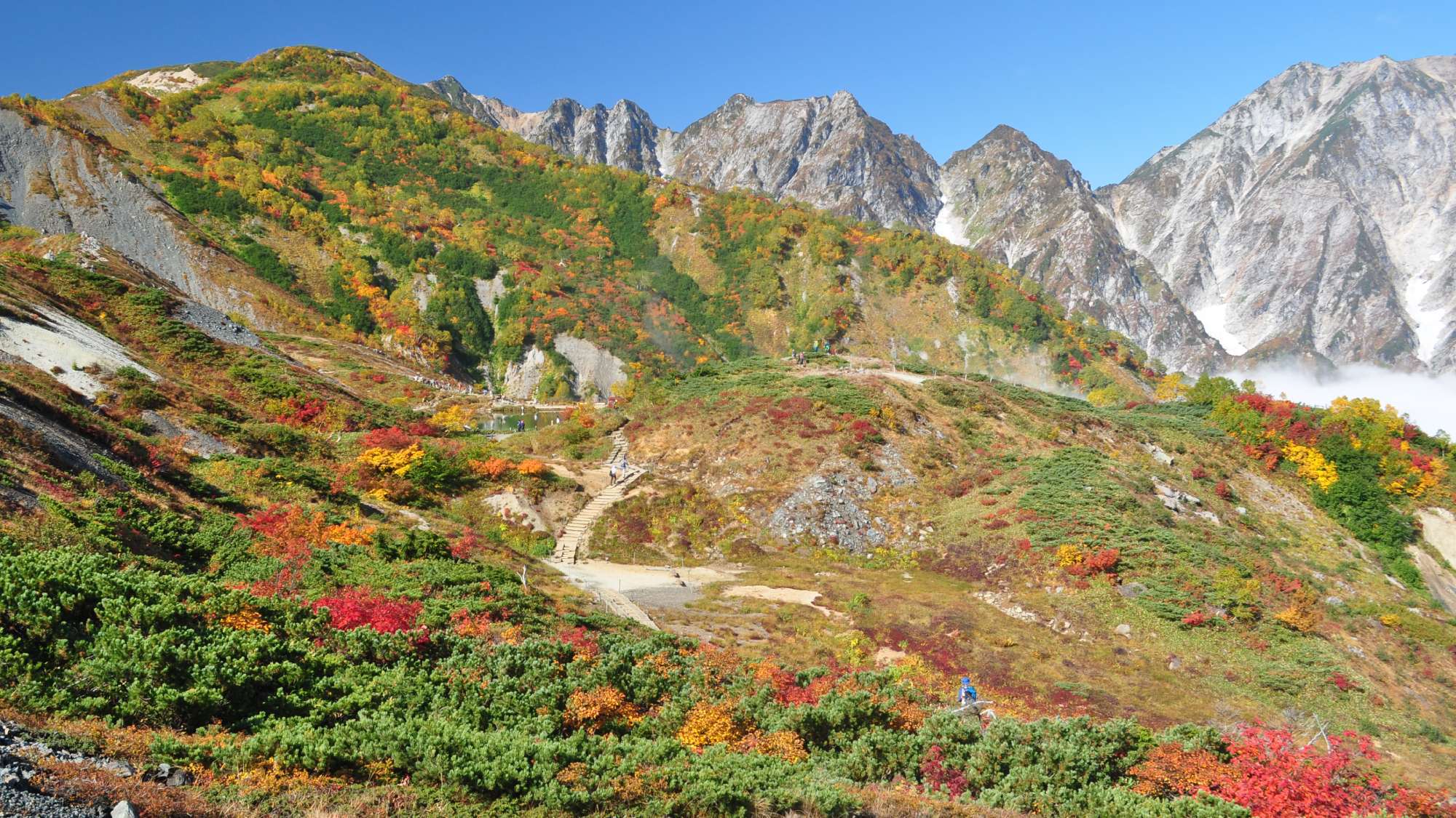 ・【八方尾根/秋】雄大な山々と色とりどりの紅葉がお楽しみいただけます(白馬村観光協会提供)