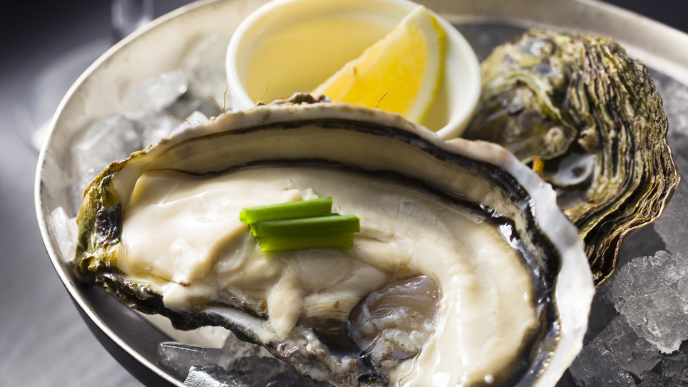 【フレッシュ牡蠣】全国から集めたものから厳選し、その日、最も美味しい種類をご提供いたします！