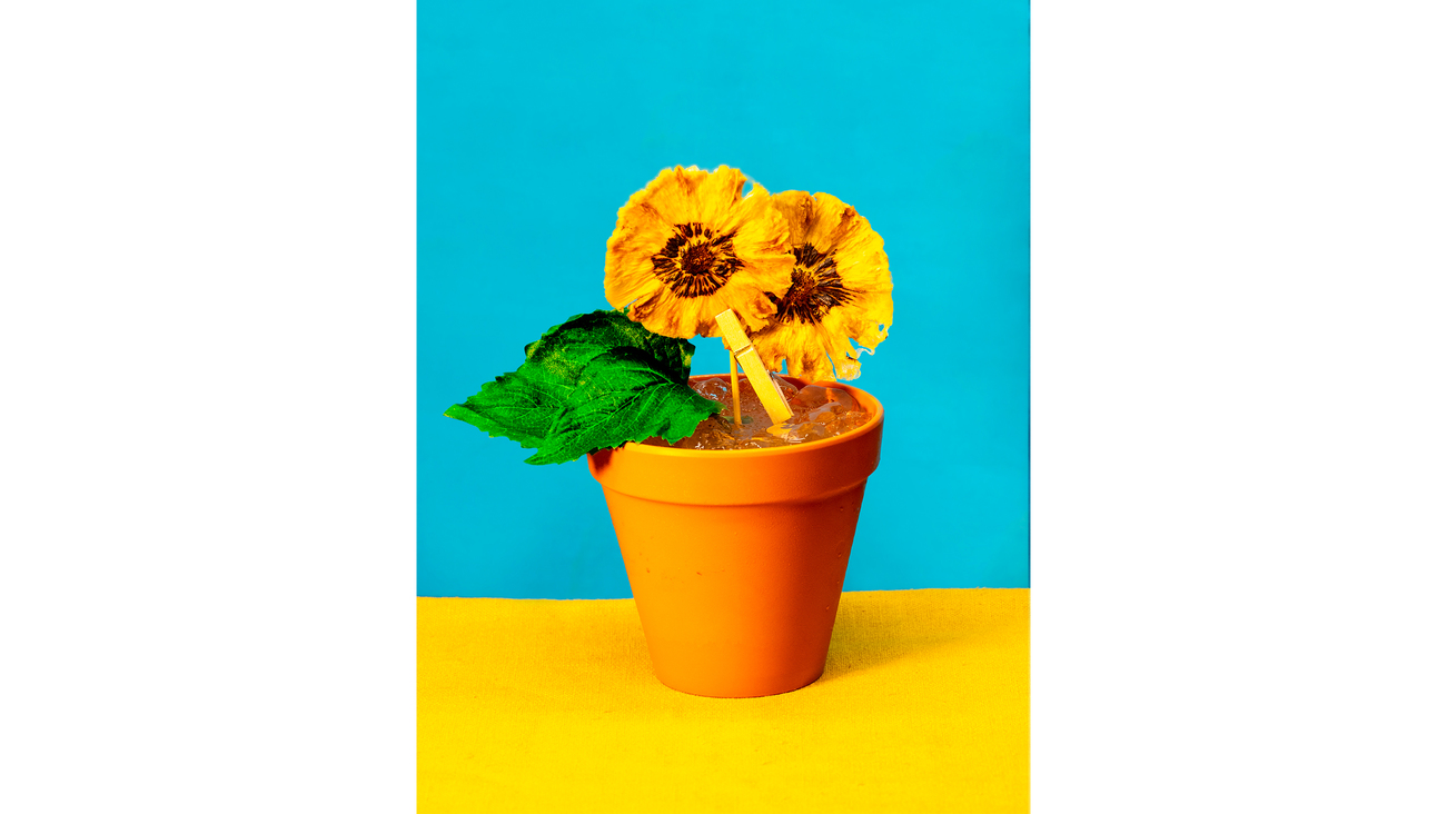 ミクソロジーカクテル〈Sunflower〉イメージ