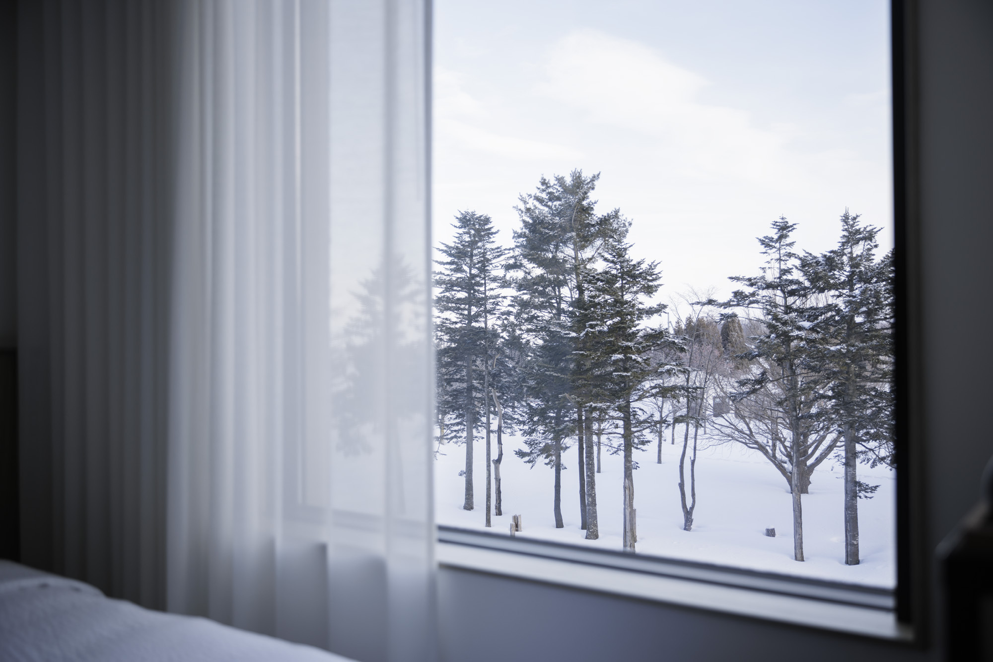 部屋からの冬景色