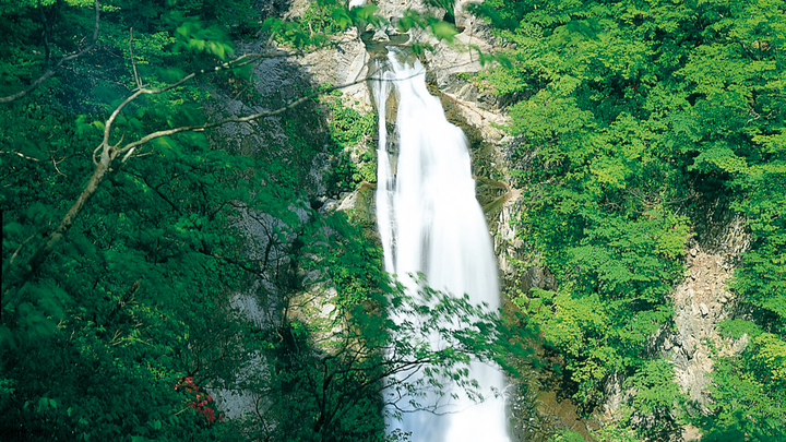 秋保大滝…;差55m、幅6mの県内屈指の名瀑です。当館から車で約20分。