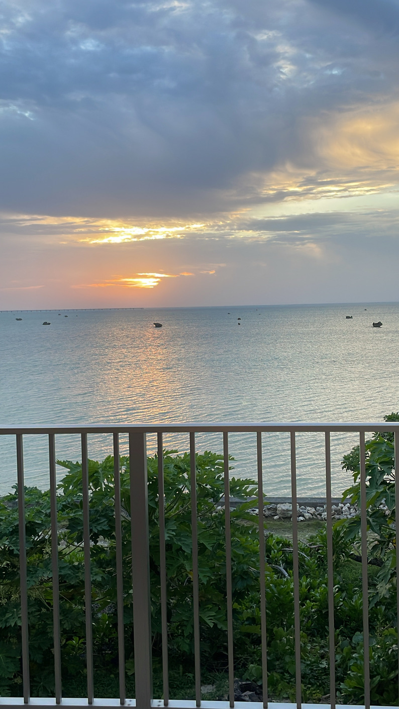 夕日
