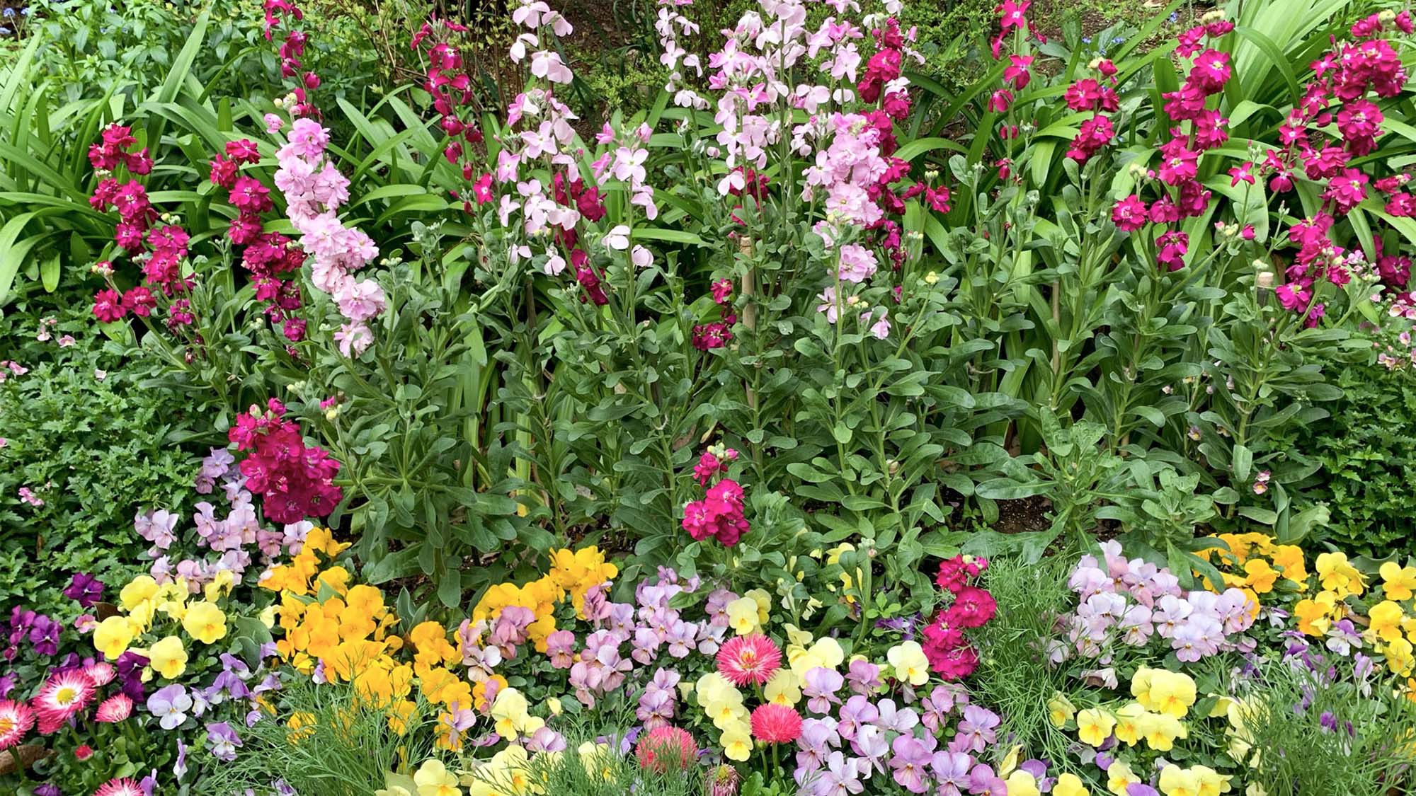・アカオハーブ&ローズガーデン：バラとハーブに囲まれた個性あふれる庭園