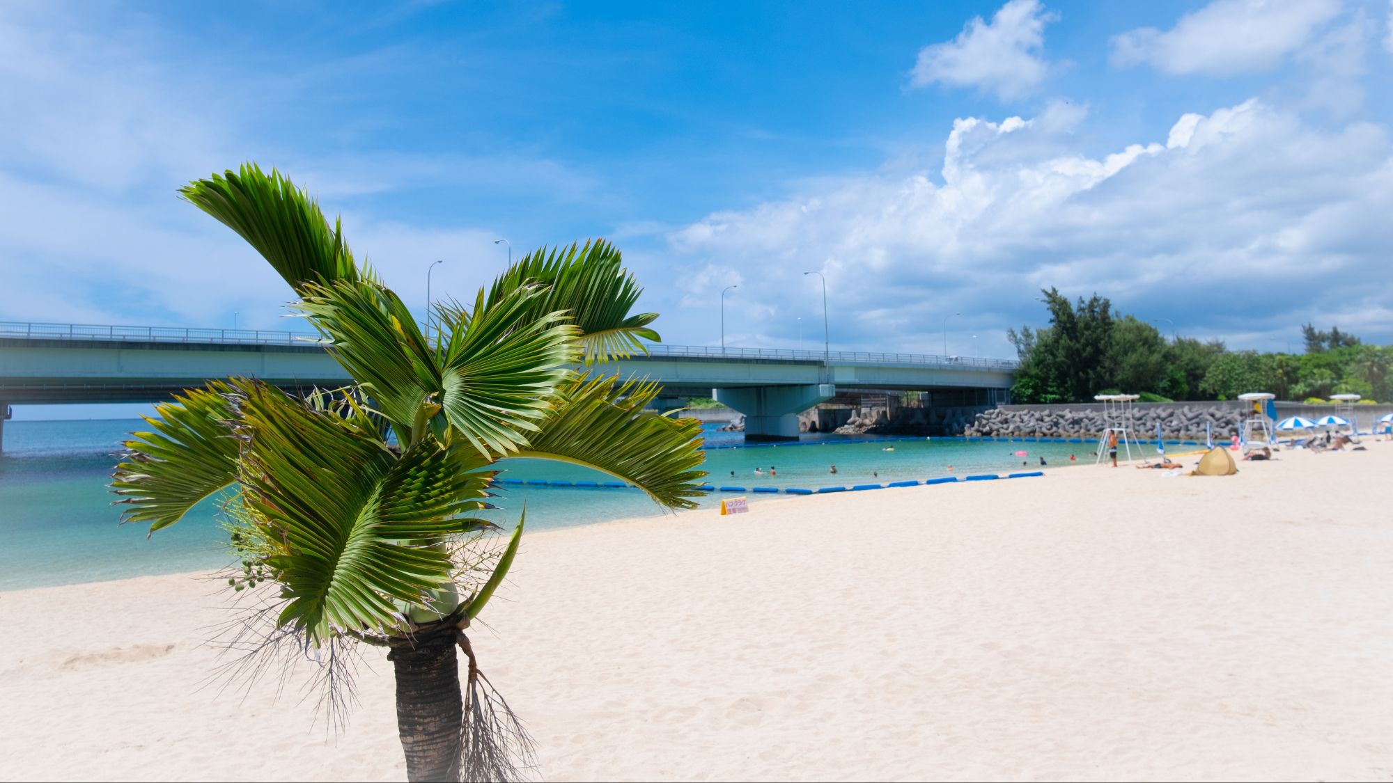 【波の上ビーチ】当館から徒歩約15分/車で約4分