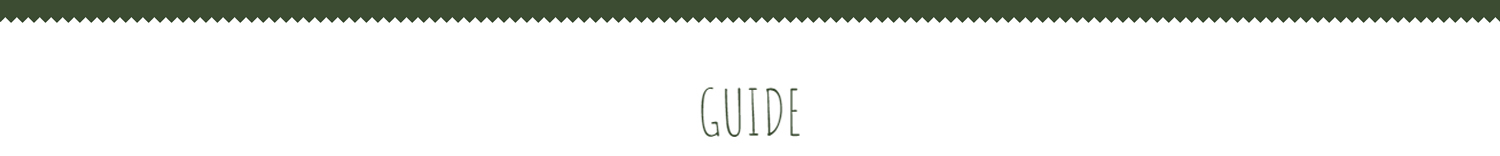 guide