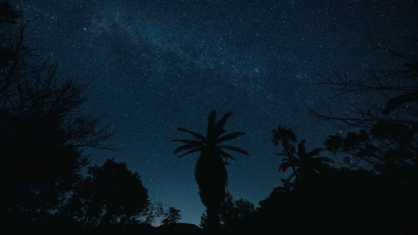 夜には、満天に広がる星が見られます。運が良ければ流れ星も見られるかも。