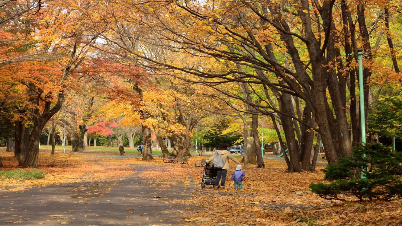 円山公園