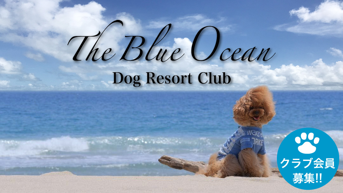 The Blue Ocean Dog Resort Clubのnull